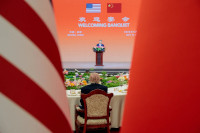 new/Donald